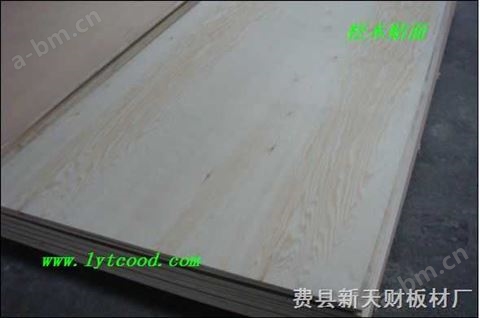 5厘/12厘/15厘松木胶合板、松木家具用胶合板