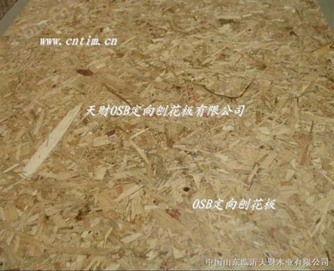 优质刨花板-OSB天财木业专业生产18753903839