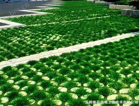 上海植草地坪 上海现浇植草地坪 上海植草砖